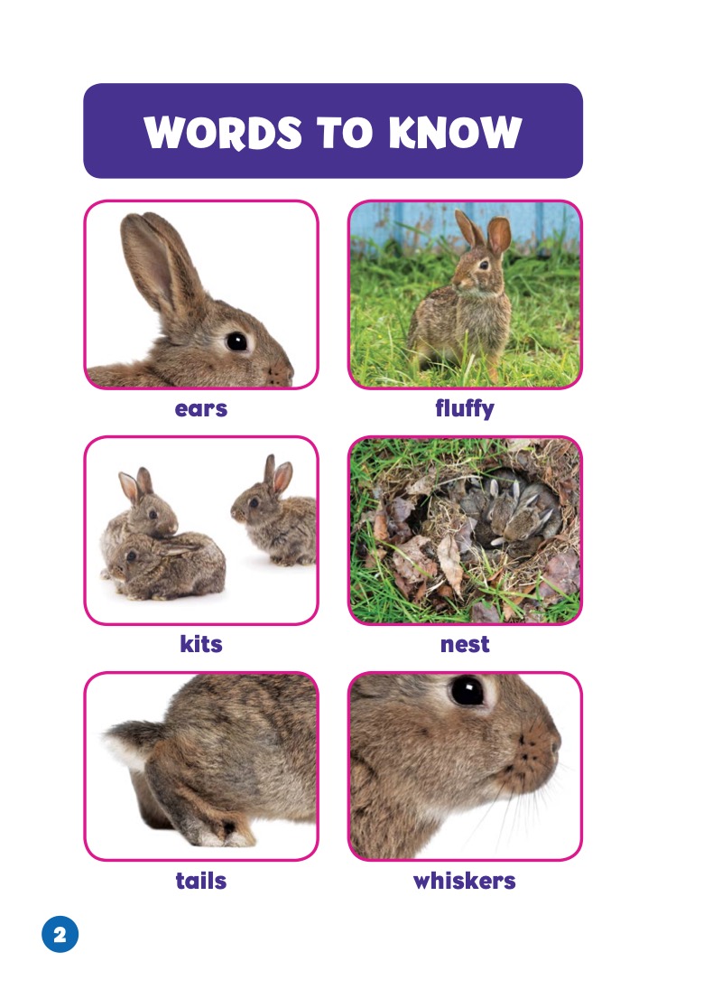 Backyard Animals: Rabbits — page 1
