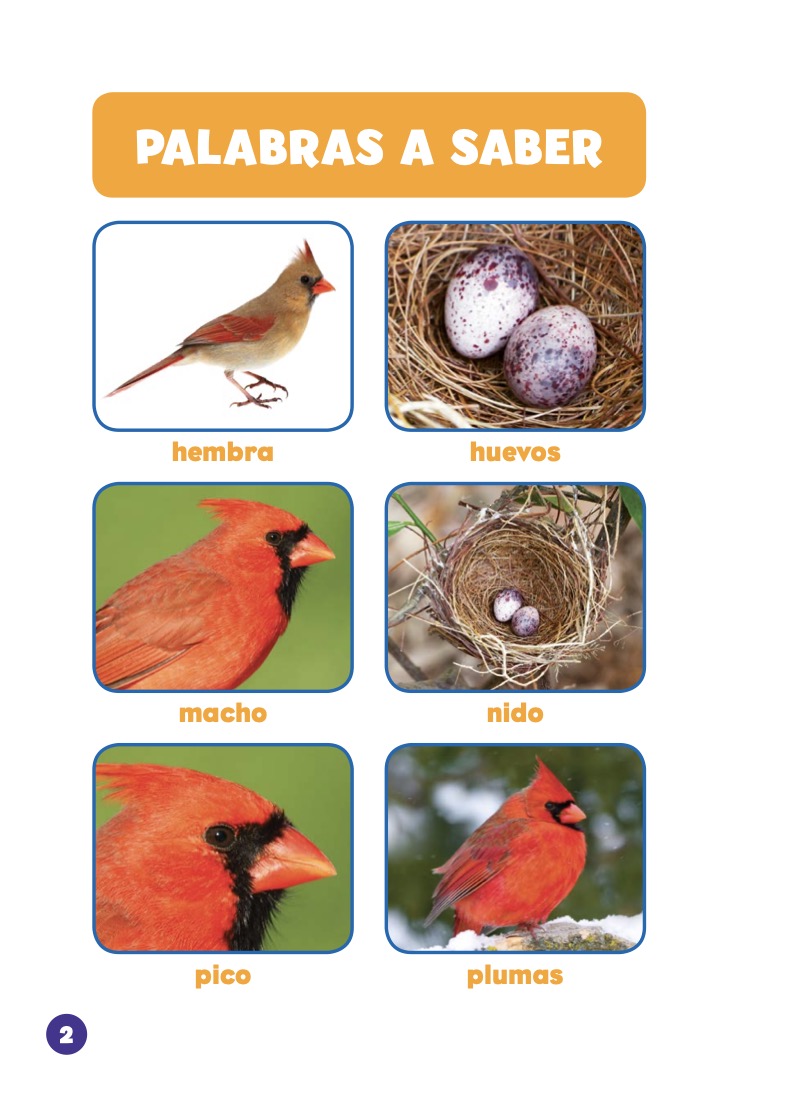 Los cardenales — page 1