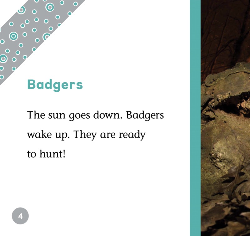 Badgers — page 1