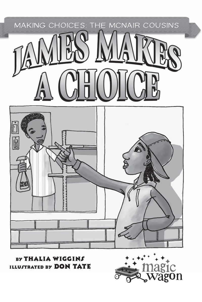 James Makes a Choice book cover