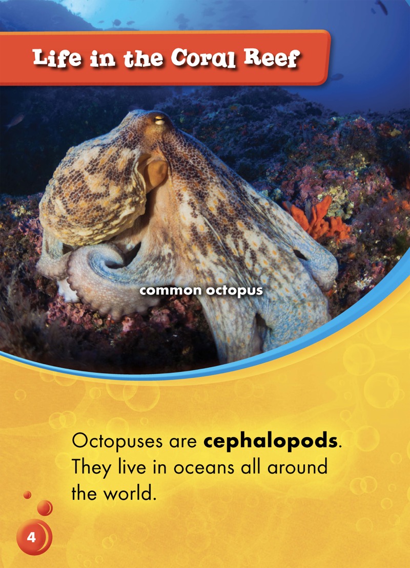 Animals of the Coral Reefs: Octopuses — page 1