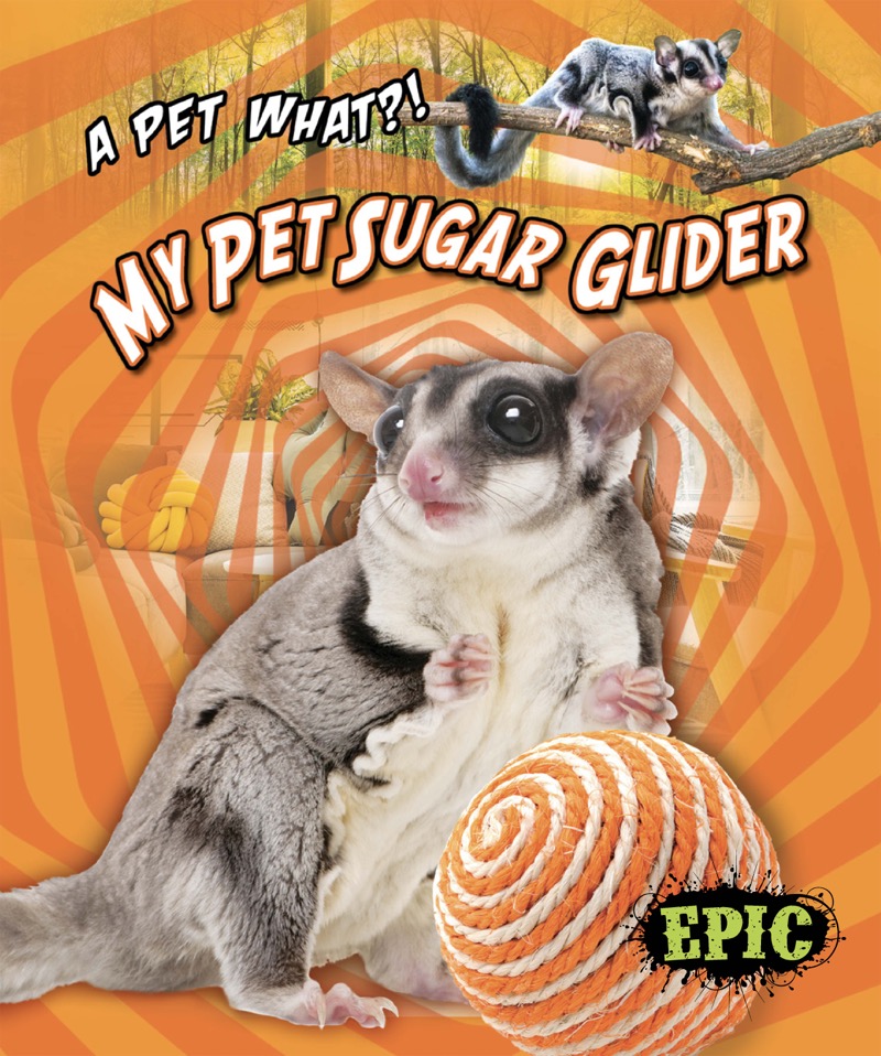 My Pet Sugar Glider book cover