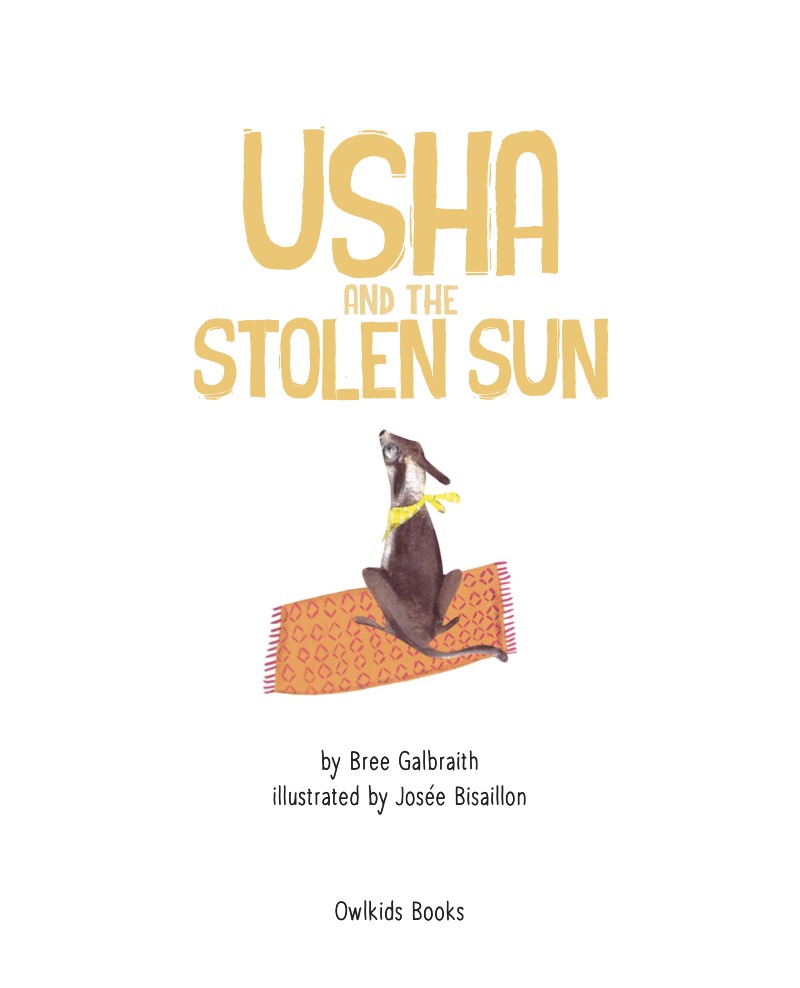 Usha and the Stolen Sun book cover