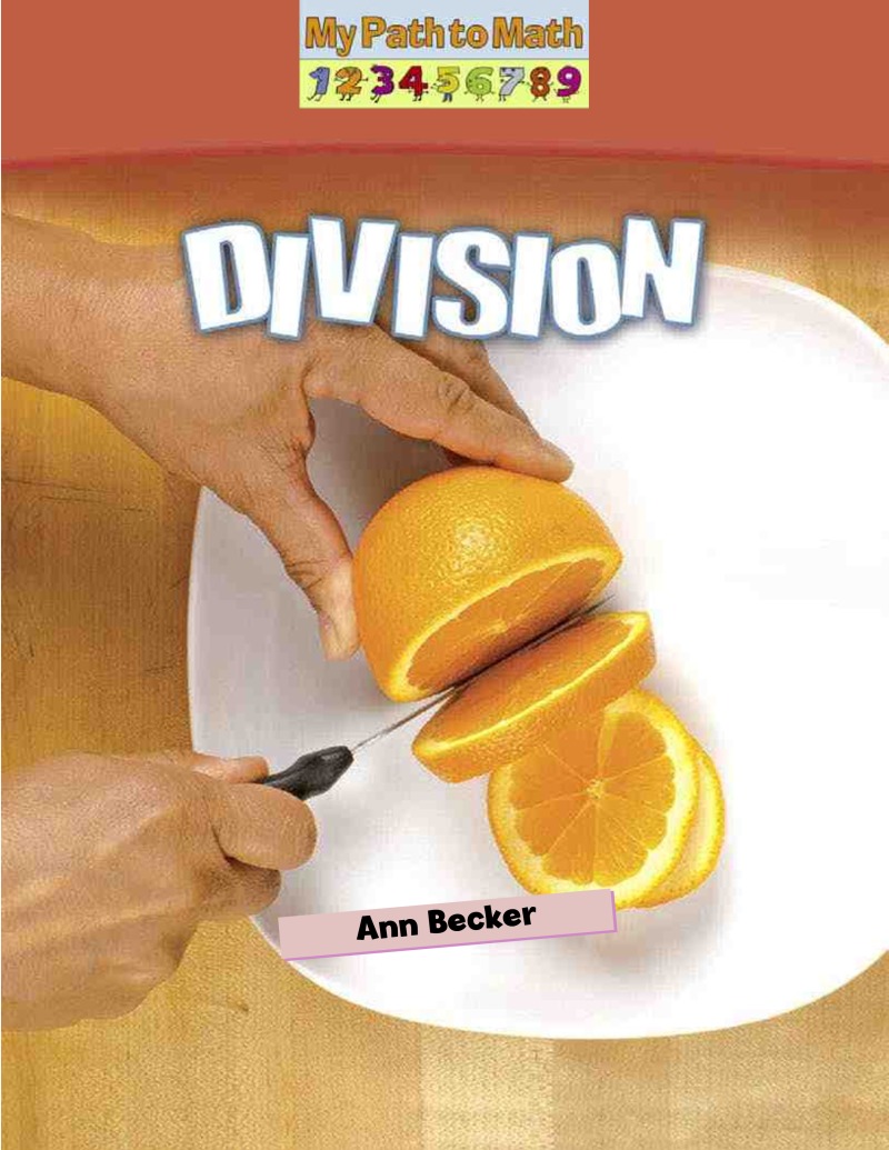 Division book cover