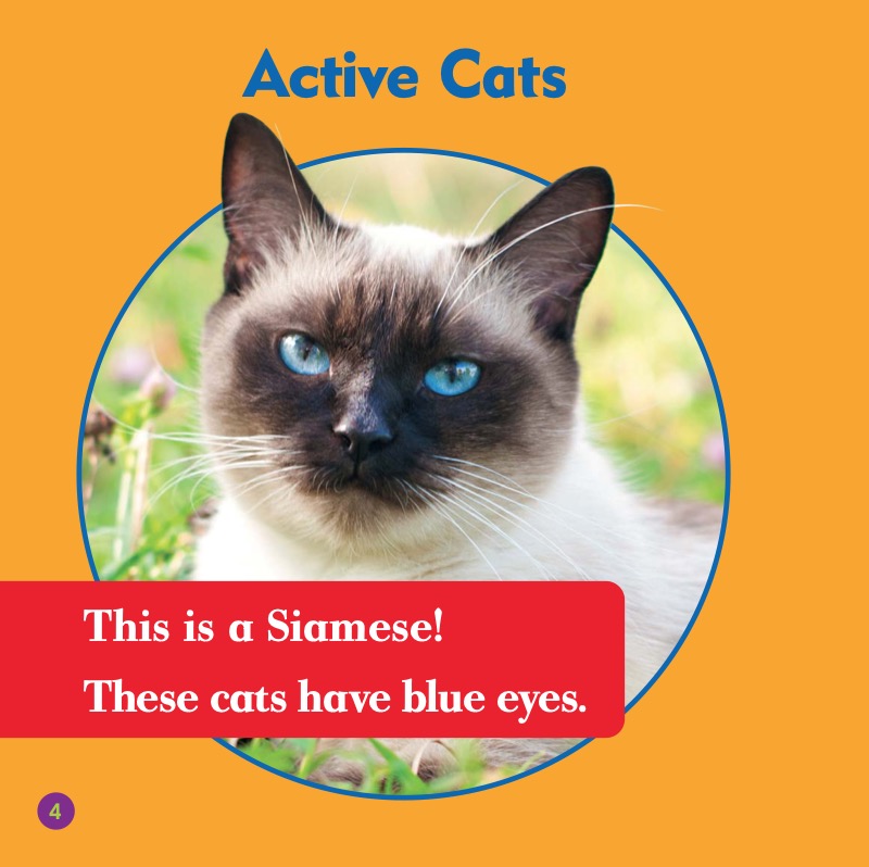 Cat Club: Siamese — page 1