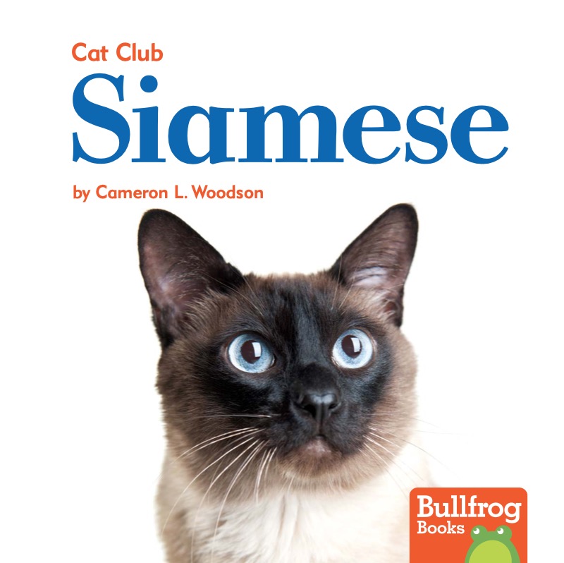 Cat Club: Siamese book cover