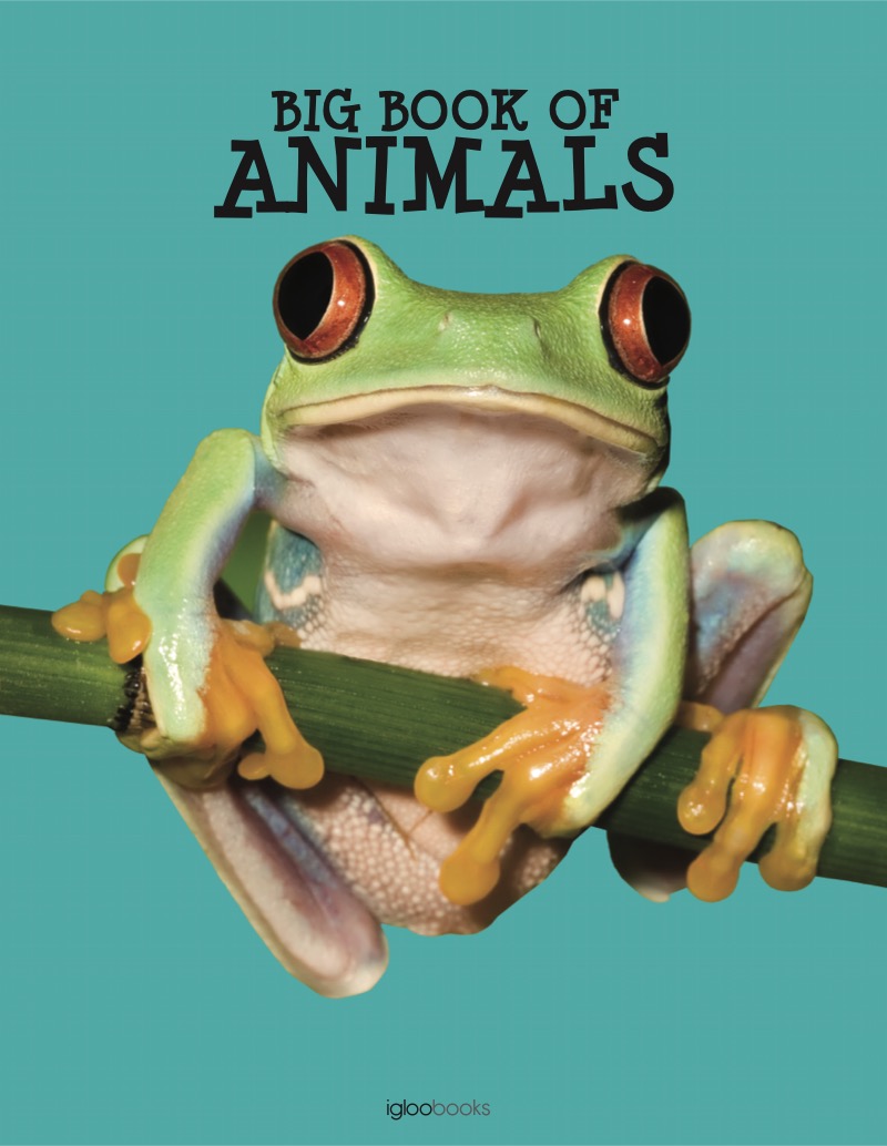 Big Book of Animals book cover