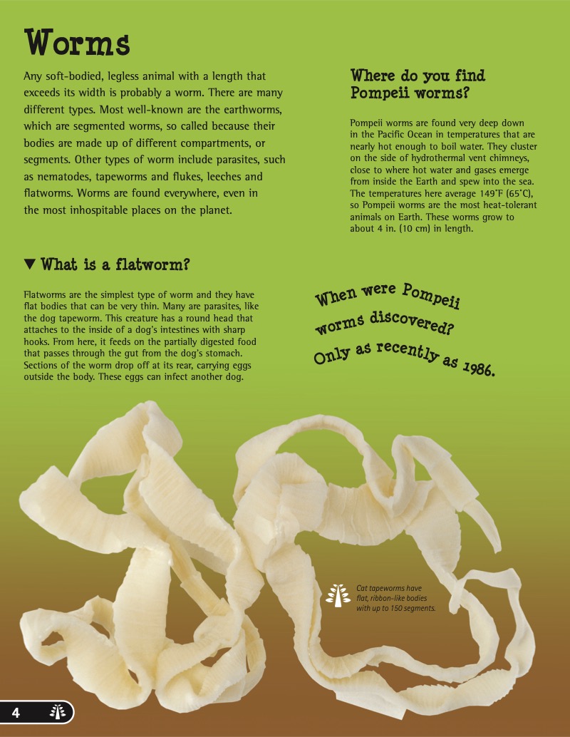 Big Book of Animals — page 1