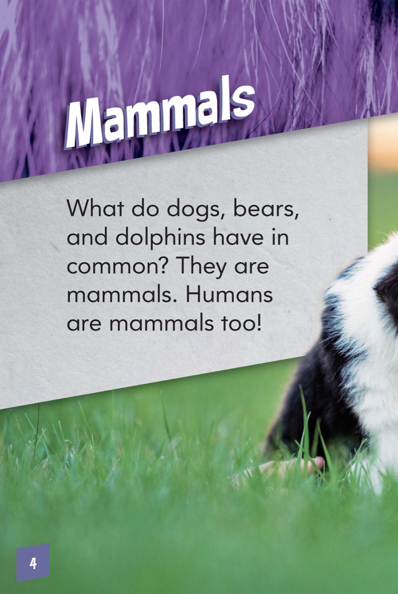 Animal Classes: Mammals — page 1