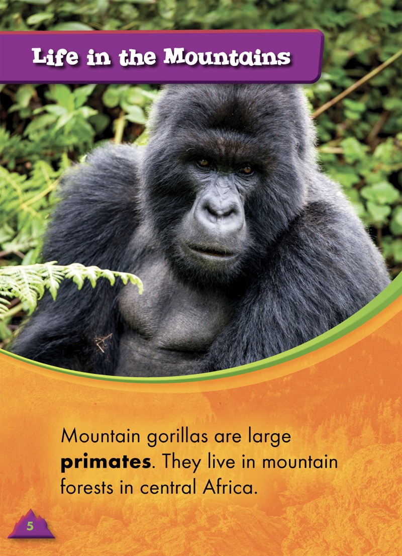 Animals of the Mountains: Mountain Gorillas — page 1