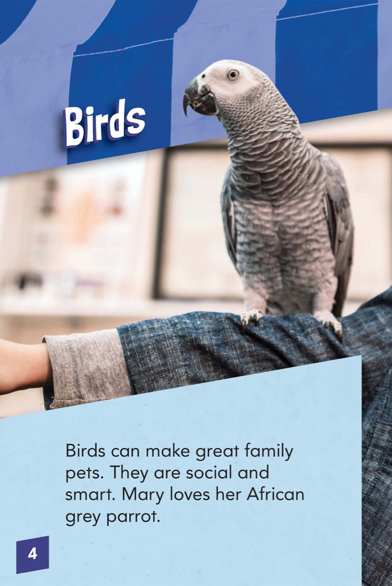 Pet Care: Birds — page 1