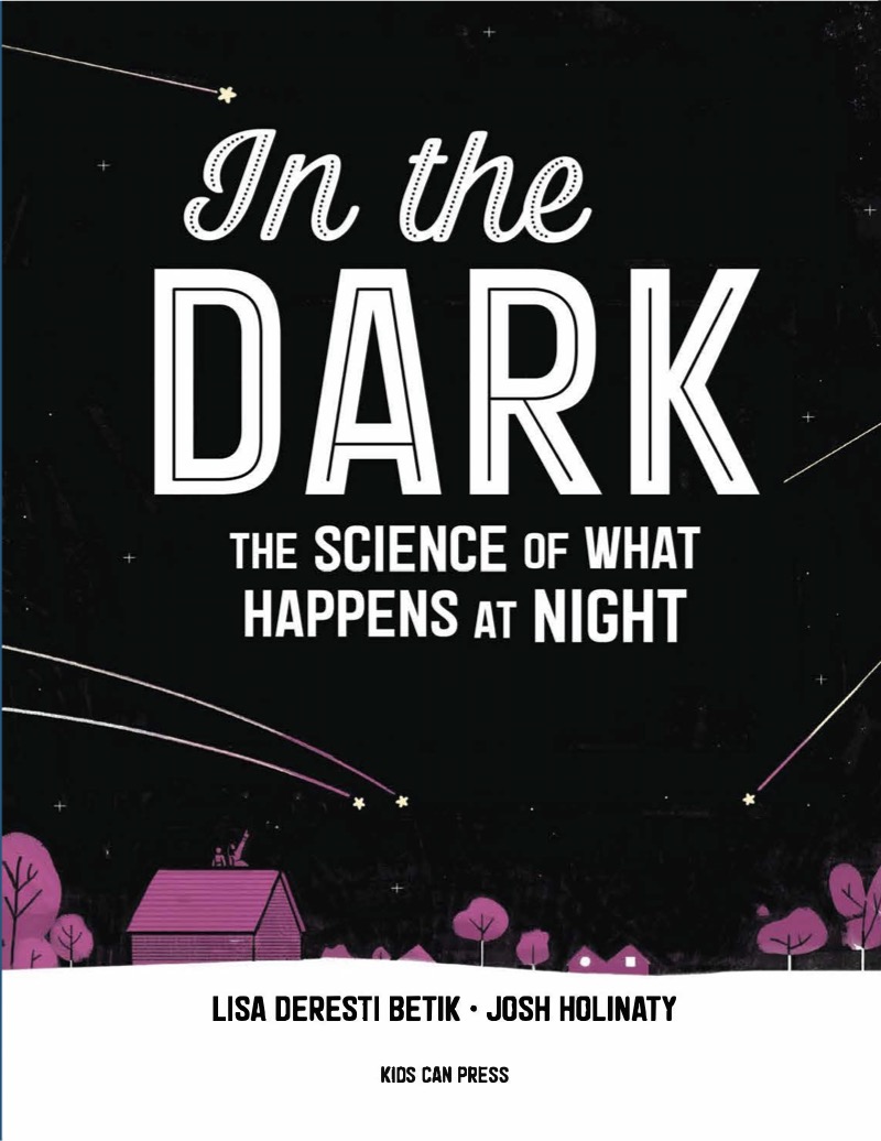 In the Dark: The Science of What Happens at Night book cover