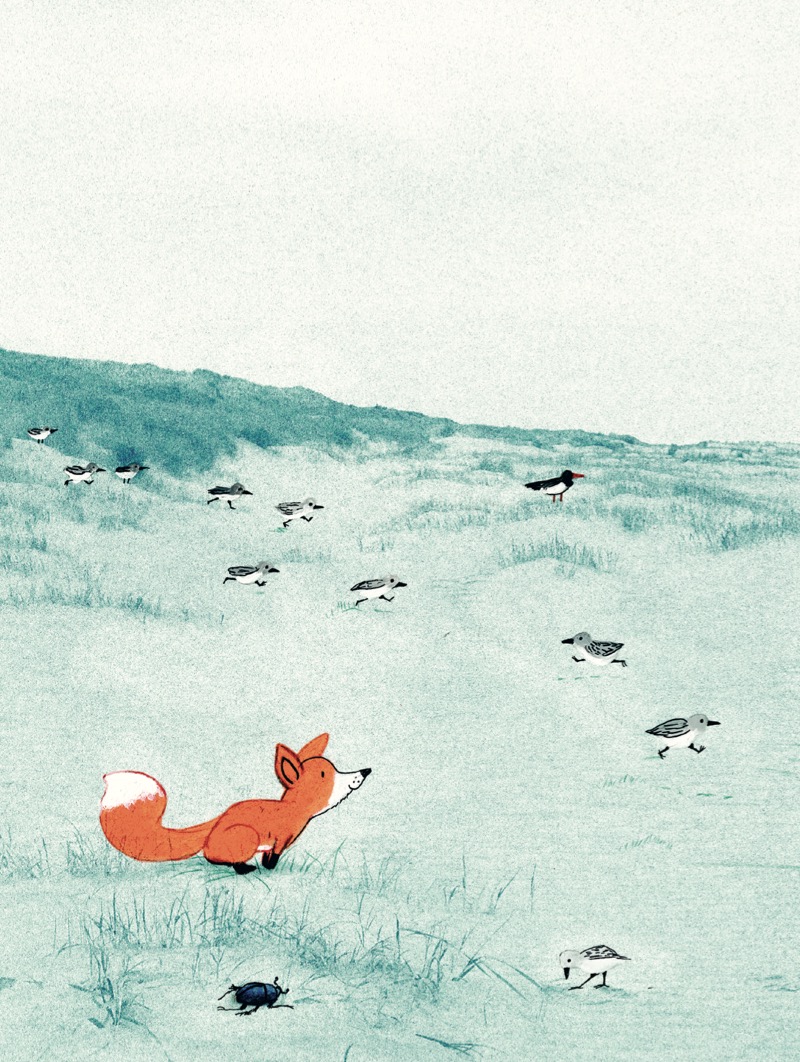 Little Fox — page 1