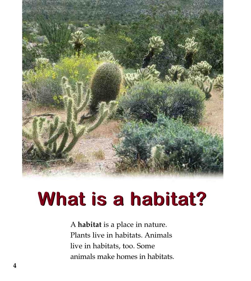 A Desert Habitat — page 1