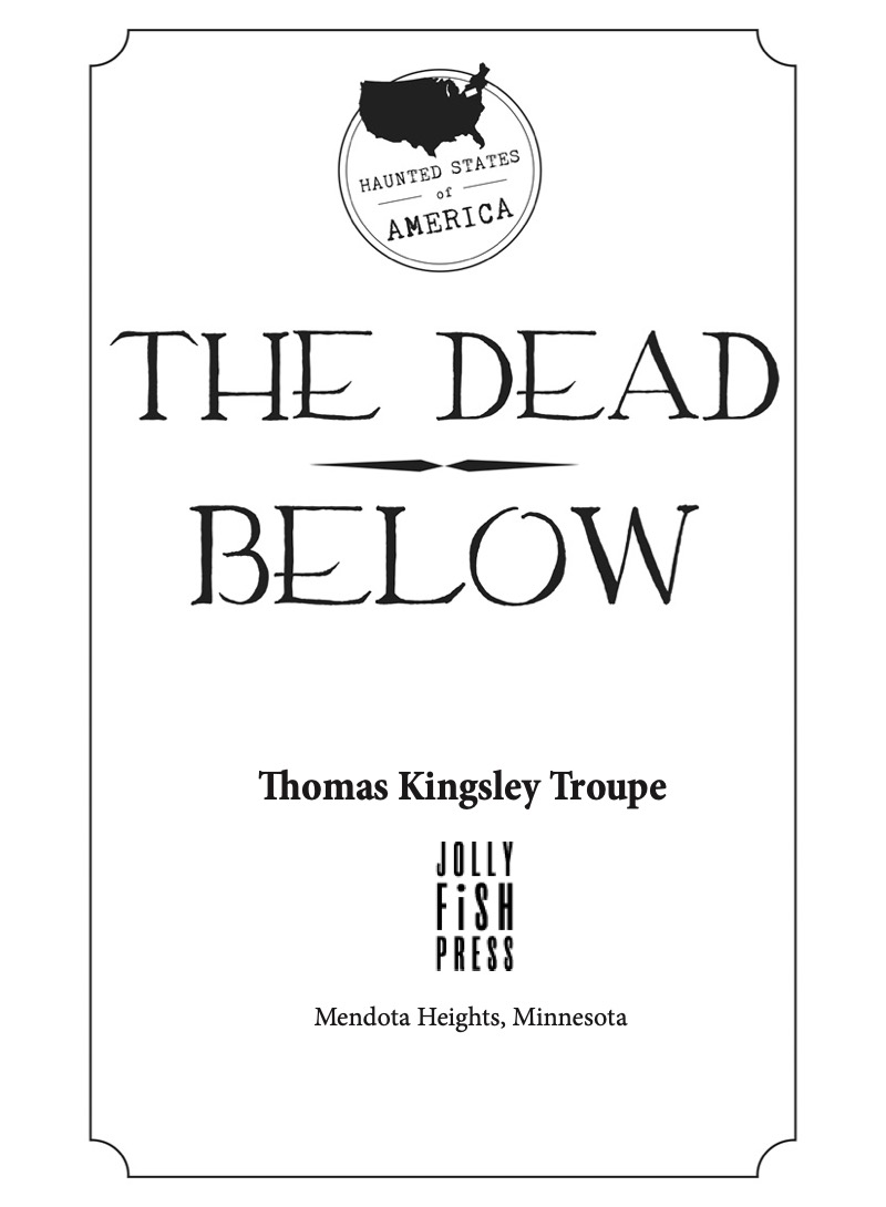 Haunted States of America: The Dead Below book cover