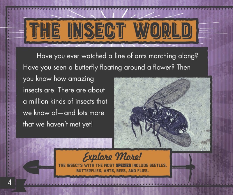 Digging Up Insect Fossils — page 1