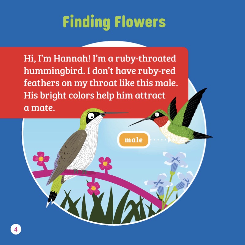 Pollinator Pals: Hannah the Hummingbird Pollinates — page 1