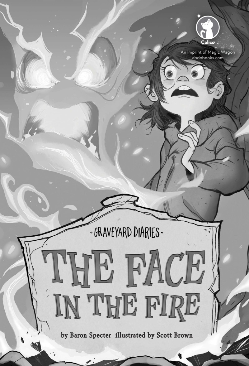 Graveyard Diaries Book 11: The Face in the Fire book cover