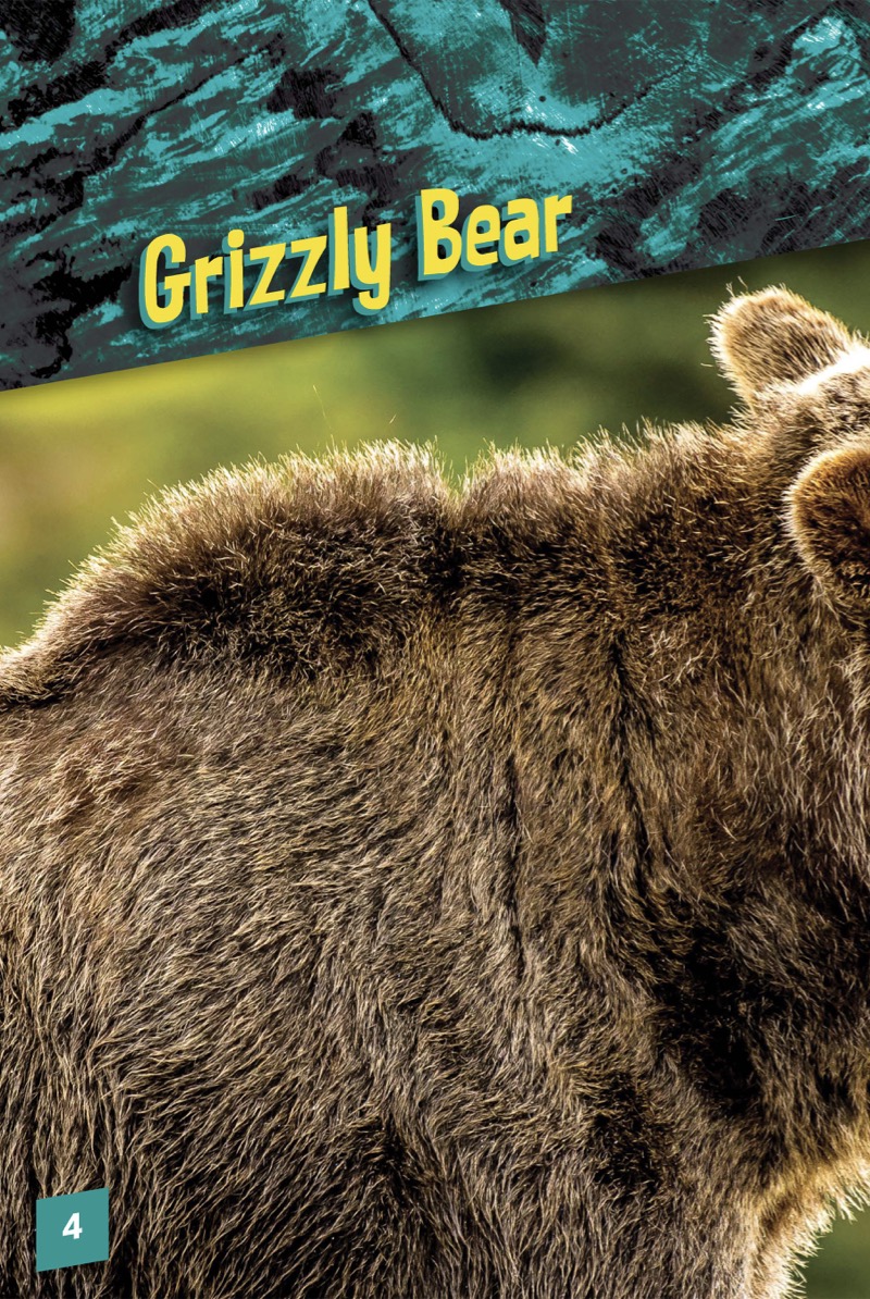 Animals with Bite: Grizzly Bear — page 1
