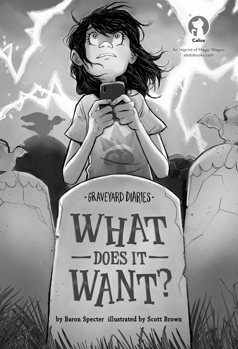 Graveyard Diaries Book 16: What Does It Want? book cover