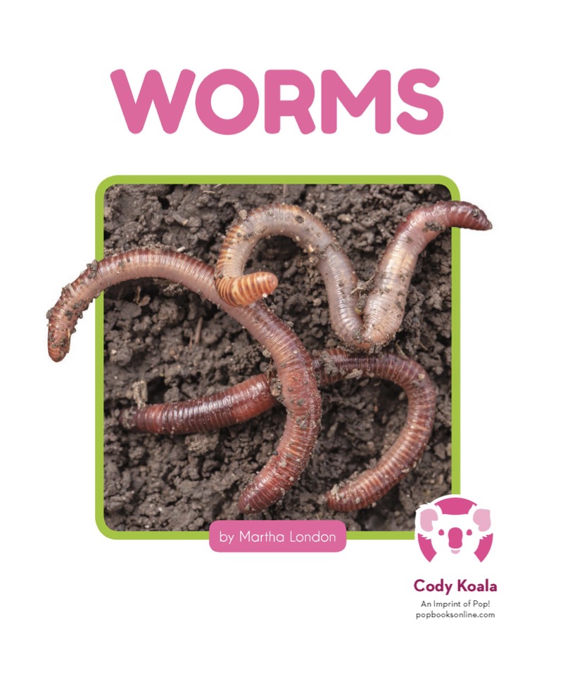 Underground Animals: Worms book cover