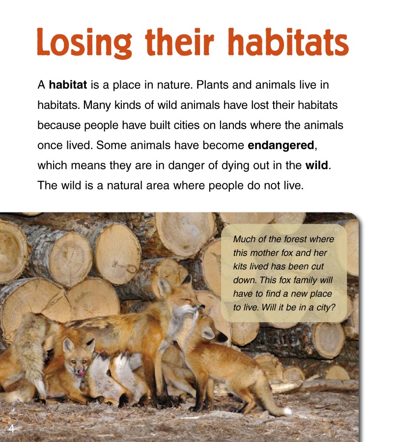 Baby Animals in Cities — page 1