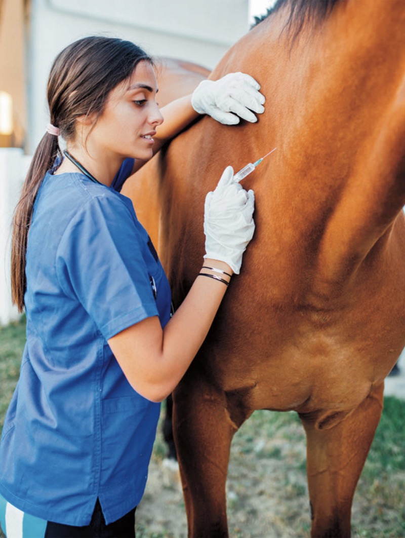 Great Careers Working With Animals — page 1