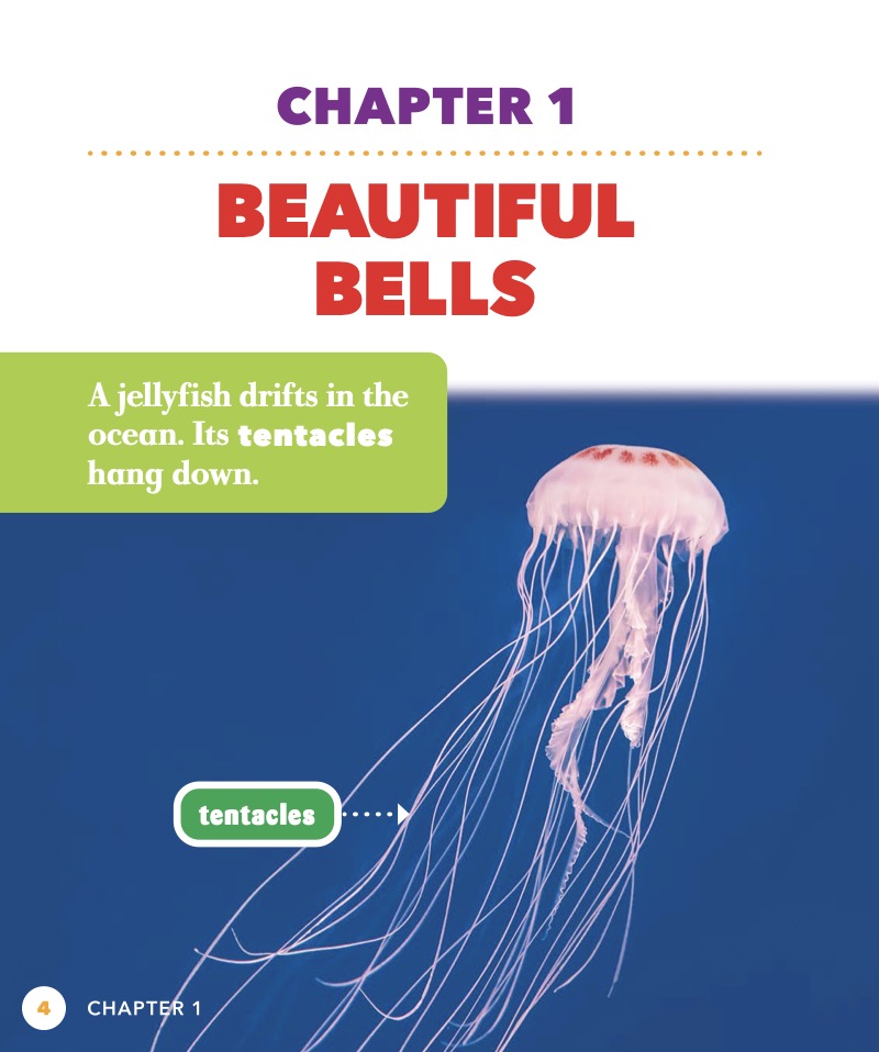 The World of Ocean Animals: Jellyfish — page 1