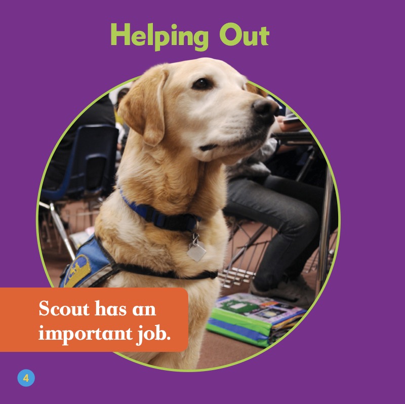 Dogs on Duty: Service Dogs — page 1