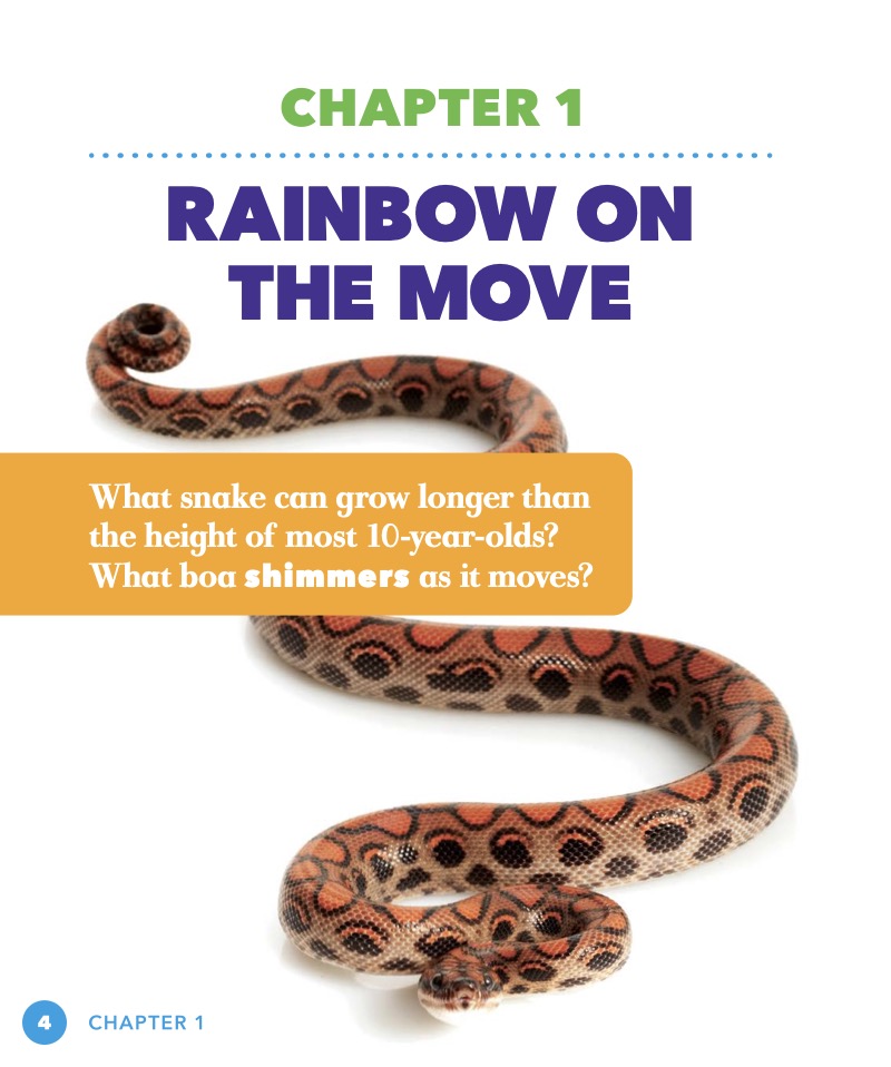 Science Behind the Colors: Rainbow Boas — page 1