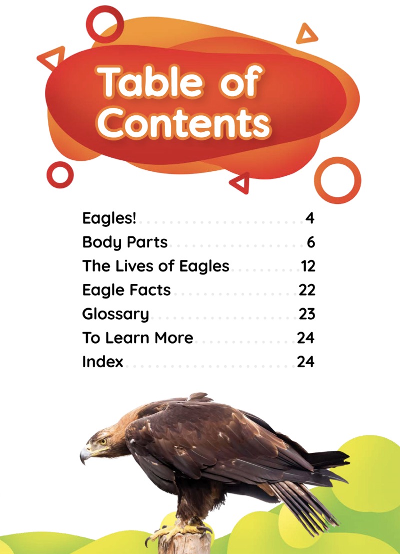 Animals in My Yard: Eagles book cover