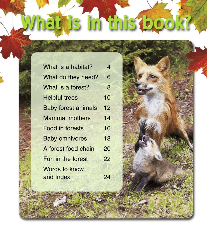 Baby Animals in Forest Habitats book cover