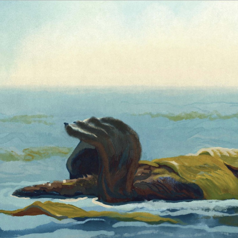 The Secret Life of the Sea Otter — page 1