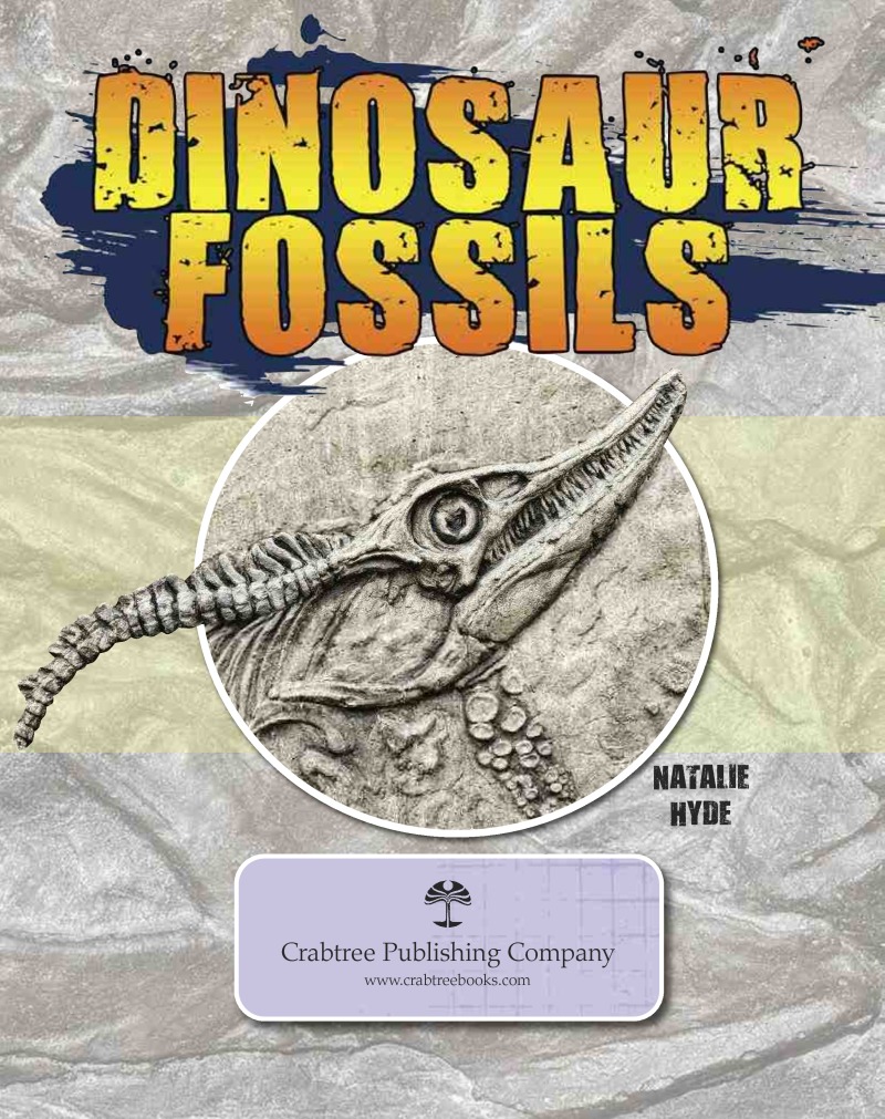 Dinosaur Fossils book cover
