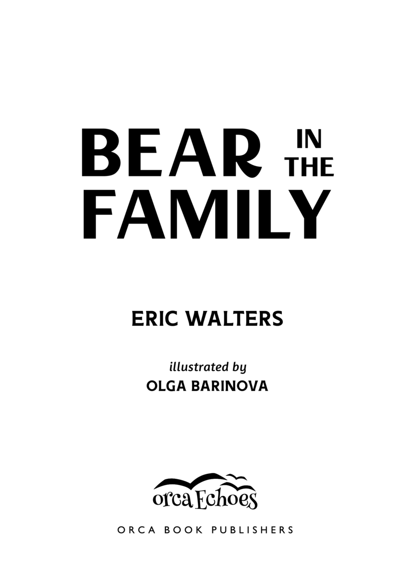 Bear in the Family book cover