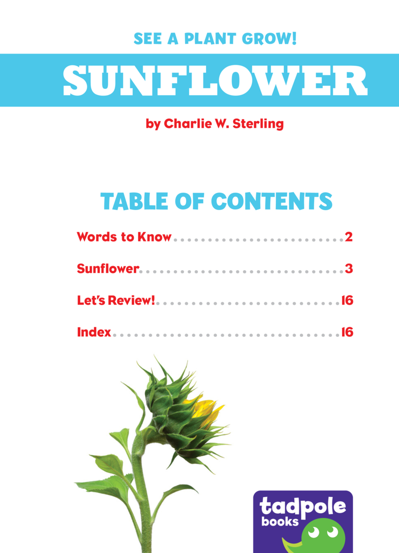 See a Plant Grow!: Sunflower book cover