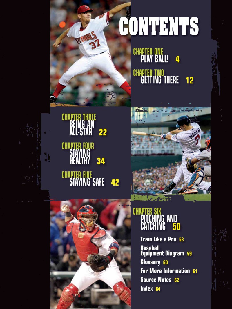 Playing Pro Baseball book cover