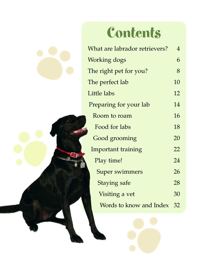 Labrador Retrievers (Pet Care) book cover