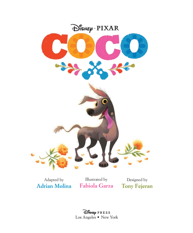 Coco book cover