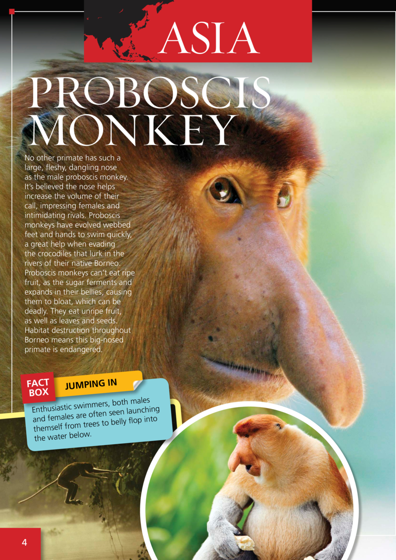 The World's Most: World's Most Freaky Animals — page 1