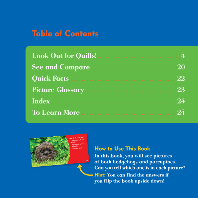 Spot the Differences: Hedgehog or Porcupine? book cover