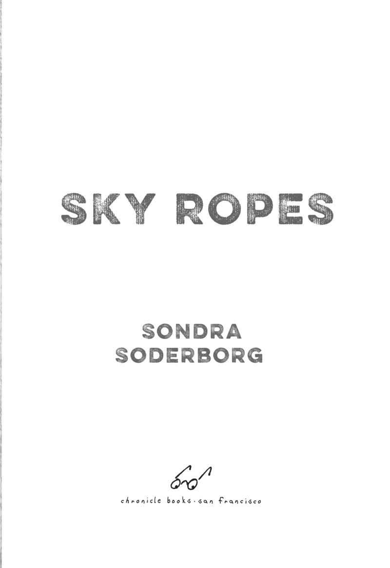 Sky Ropes book cover