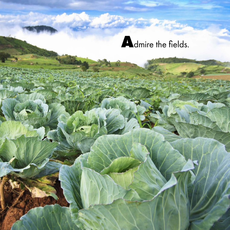 What Can You Do on a Farm? — page 1