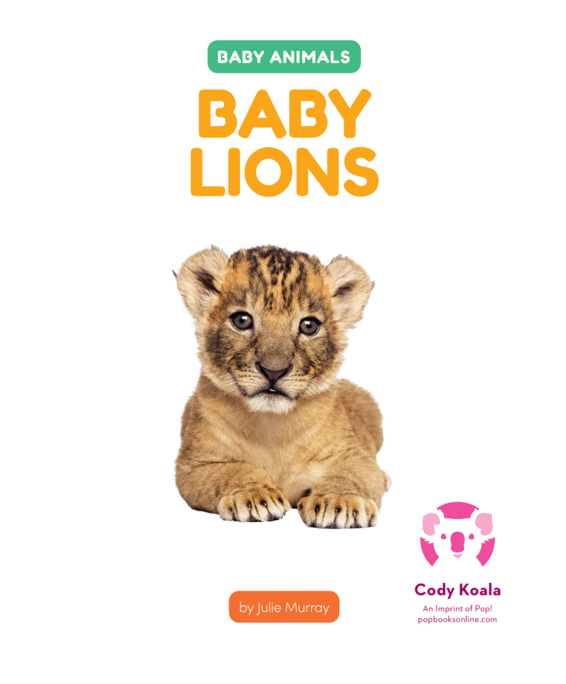 Baby Lions book cover