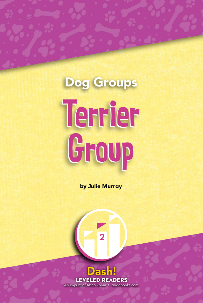 Terrier Group book cover