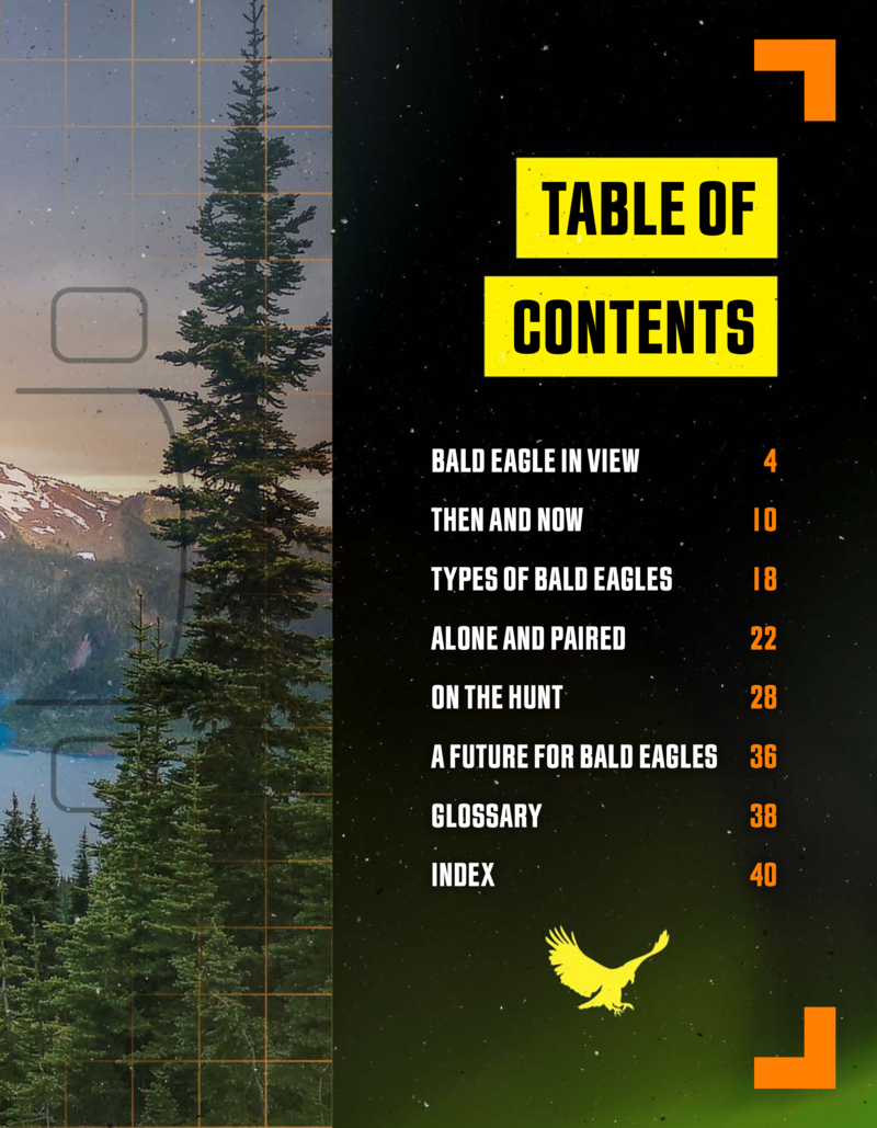 Bald Eagles: White-Headed Hunters book cover