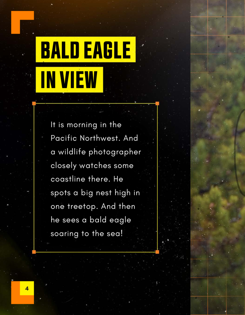 Bald Eagles: White-Headed Hunters — page 1