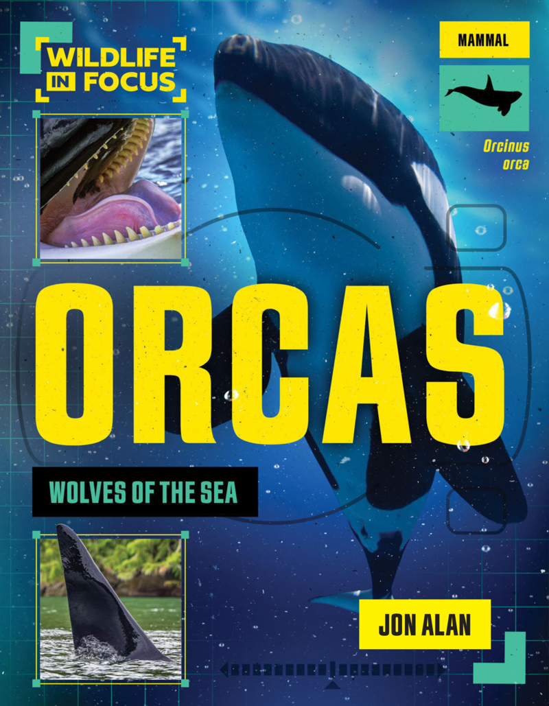 Orcas: Wolves of the Sea book cover