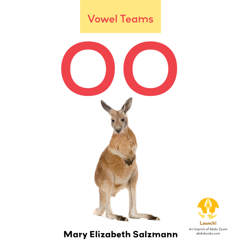 OO book cover