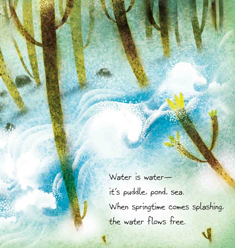 Water Can Be... book cover